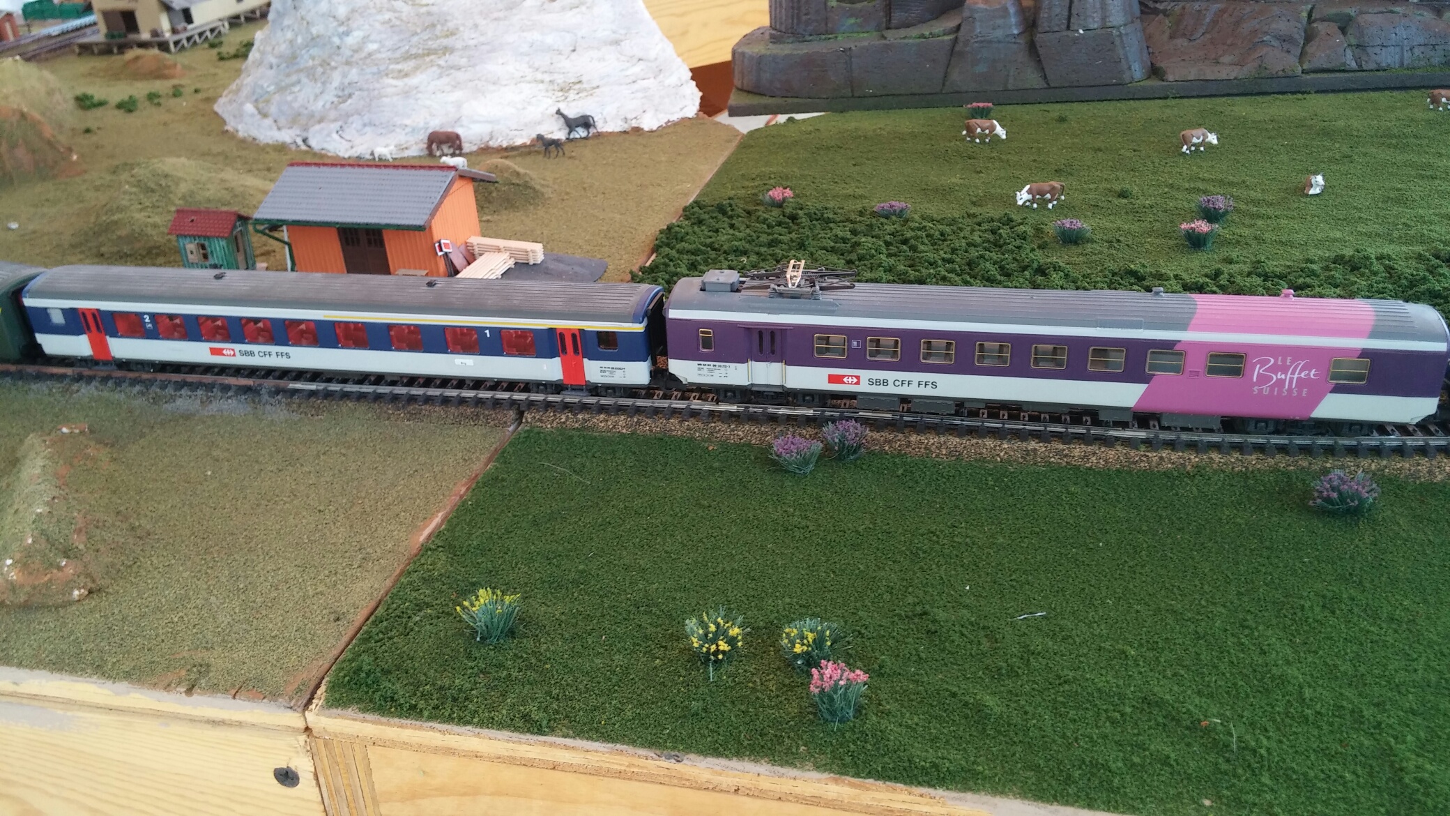 Rail Fair 2014